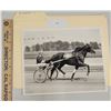 Image 1 : Harness Racing, Featuring Horse Timothy T, 1 Photo