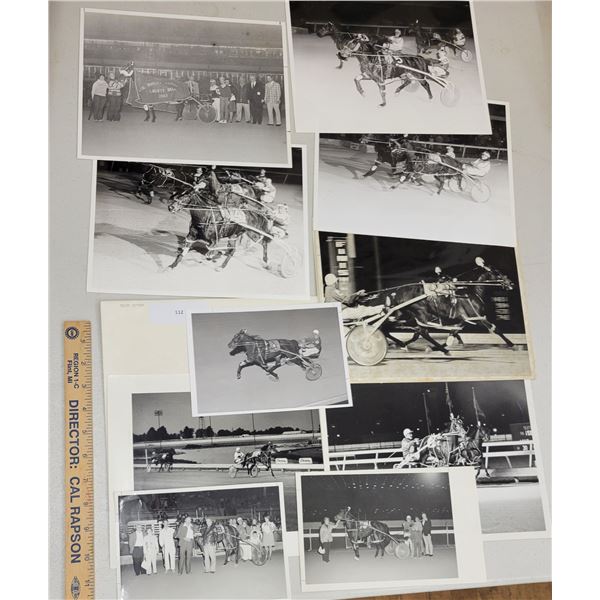 Harness Racing, Featuring Horse Elsie Butler, 12 Photos