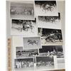 Image 1 : Harness Racing, Featuring Horse Elsie Butler, 12 Photos