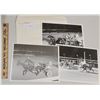 Image 1 : Harness Racing, Featuring Horse Smokey Fella, Windsor Raceway, 3 Photos