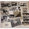 Image 1 : Harness Racing, Hanover, Various Horses, 12 Photos