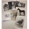 Image 2 : Harness Racing, Hanover, Various Horses, 12 Photos
