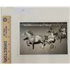 Image 1 : Harness Racing, Featuring Horse Rain Gauge, Driver Ralph Baldwin, Pompano Park, 1 Photo