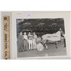 Image 1 : Harness Racing, Featuring Horse Rain Time, Pompano Park, 1 Photo