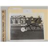 Image 1 : Harness Racing, Featuring Horse Raindrops, 1 Photo