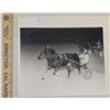 Image 1 : Harness Racing, Featuring Horse Rahma, Driver Eddie Davis, Liberty Bell Park, 1 Photo