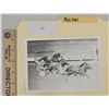 Image 1 : Harness Racing, Featuring Horse Raidal, Driver Jack Quinn, Monticello Raceway, 1 Photo
