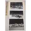 Image 1 : Harness Racing, Featuring Horse Raffi, 3 Photos
