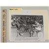 Image 1 : Harness Racing, Featuring Horse Radiant Lady, 1 Photo