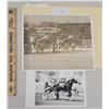 Image 1 : Harness Racing, Featuring Horse Raggedy Man, 2 Photos