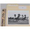 Image 1 : Harness Racing, Horses Of Spring Valley Farm, 1 Photo
