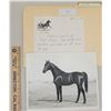 Image 1 : Harness Racing, Horse Royal Domain at O' Neill Farms, 1 Photo