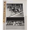 Image 1 : Harness Racing, Featuring Horse Ocean Reef, 2 Photos