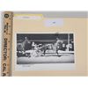 Image 1 : Harness Racing, Featuring Horse Offender, 1 Photo