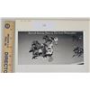 Image 1 : Harness Racing, Featuring Horse Off The Cuff, Rosecroft Raceway, 1 Photo