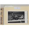 Image 1 : Harness Racing, Featuring Horse Oil Spill, Pompano Park, 1 Photo