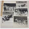Image 1 : Harness Racing, Featuring Horse Oil Strike, 5 Photos