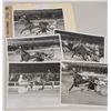 Image 1 : Harness Racing, Featuring Horse Orphan Horse, 5 Photos