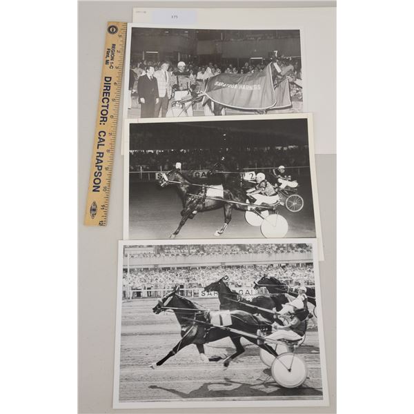 Harness Racing, Featuring Horse Orville, Saratoga Harness Racing, 3 Photos