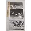 Image 1 : Harness Racing, Featuring Horse Orville, Saratoga Harness Racing, 3 Photos