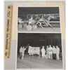 Image 1 : Harness Racing, Featuring Horse O.K. Shaver, Scioto Downs, 2 Photos