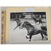 Image 1 : Harness Racing, Featuring Horse O.K.'s Coal, 1 Photo