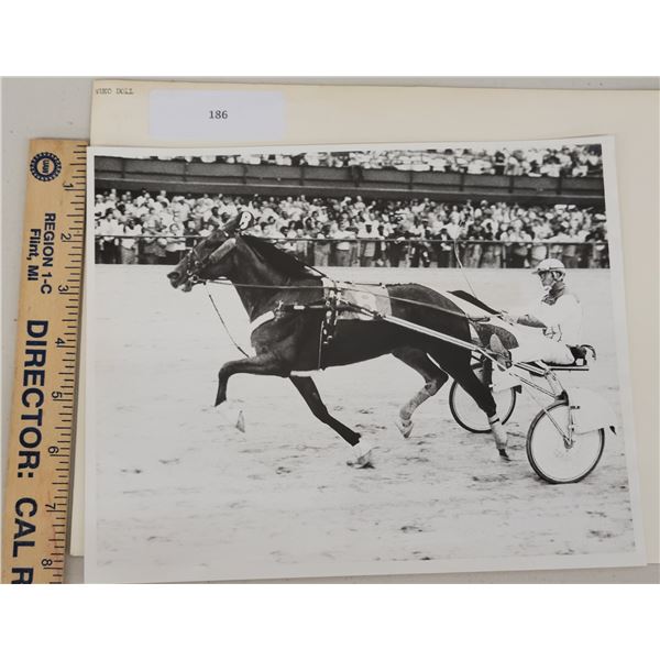 Harness Racing, Featuring Horse Nuko Doll, Driver Chris Boring, Hazel Park Race Track, 1 Photo