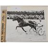 Image 1 : Harness Racing, Featuring Horse Nuko Doll, Driver Chris Boring, Hazel Park Race Track, 1 Photo