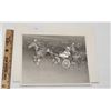 Image 1 : Harness Racing, Featuring Horse Oak Chip, Driver D. Irvine, 1 Photo