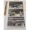 Image 1 : Harness Racing, Featuring Horse Nutjammer, 3 Photos