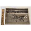 Image 1 : Harness Racing, Featuring Horse Now That's Perfection, Driver Ken Hardy, Windsor Raceway, 1 Photo
