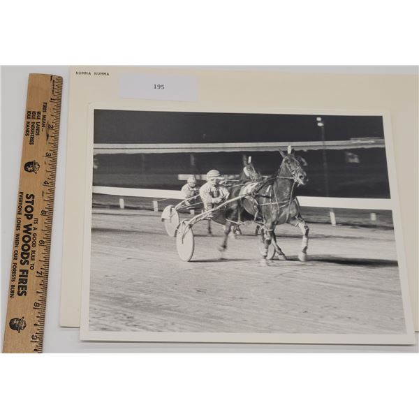 Harness Racing, Featuring Horse Numma Numma, Windsor Raceway, 1 Photo