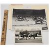 Image 1 : Harness Racing, Featuring Horse Nut House, 2 Photos