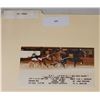 Image 1 : Harness Racing, Featuring Horse Nutjammer, Driver Lanny Merriman, Balmoral Park, 1 Photo