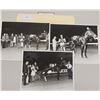 Image 1 : Harness Racing, Featuring Horse Nova Star, 3 Photos