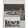 Image 1 : Harness Racing, Featuring Horse Nova Hill, 2 Photos