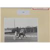 Image 1 : Harness Racing, Featuring Horse Not Too Sweet, 1 Photo
