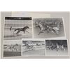 Image 1 : Harness Racing, Featuring Horse No Thru Traffic, 5 Photos