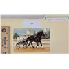 Image 1 : Harness Racing, Featuring Horse North Country, 1 Photo