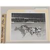 Image 1 : Harness Racing, Featuring Horse Northern Princess, Driver Ron Waples, Windsor Raceway, 1 Photo
