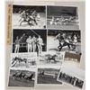 Image 1 : Harness Racing, Featuring Horse Oppy, 10 Photos
