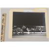 Image 1 : Harness Racing, Featuring Horse Oppy Diller, 1 Photo