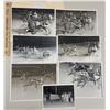 Image 1 : Harness Racing, Featuring Horse Omaha Lus, 7 Photos