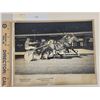 Image 1 : Harness Racing, Featuring Horse Only A, 1 Photo