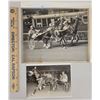 Image 1 : Harness Racing, Featuring Horse Only Love, 2 Photos