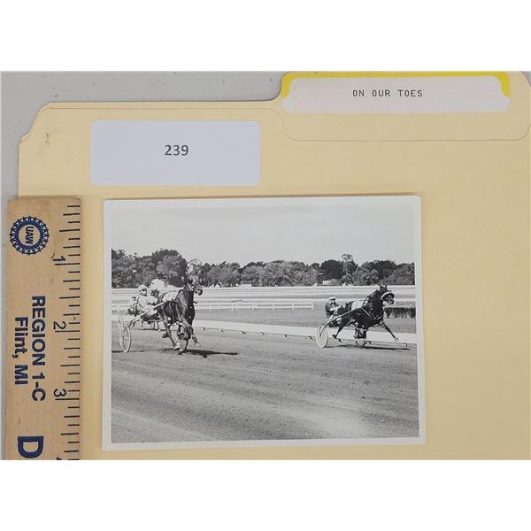 Harness Racing, Featuring Horse On Our Toes, 1 Photo