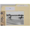 Image 1 : Harness Racing, Featuring Horse On Our Toes, 1 Photo
