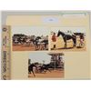 Image 1 : Harness Racing, Featuring Horse On The Rocks, 3 Photos