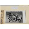 Image 1 : Harness Racing, Featuring Horse On The Quiet, Pompano Park, 1 Photo