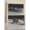 Image 1 : Harness Racing, Featuring Horse Oompa's Peter, 2 Photos